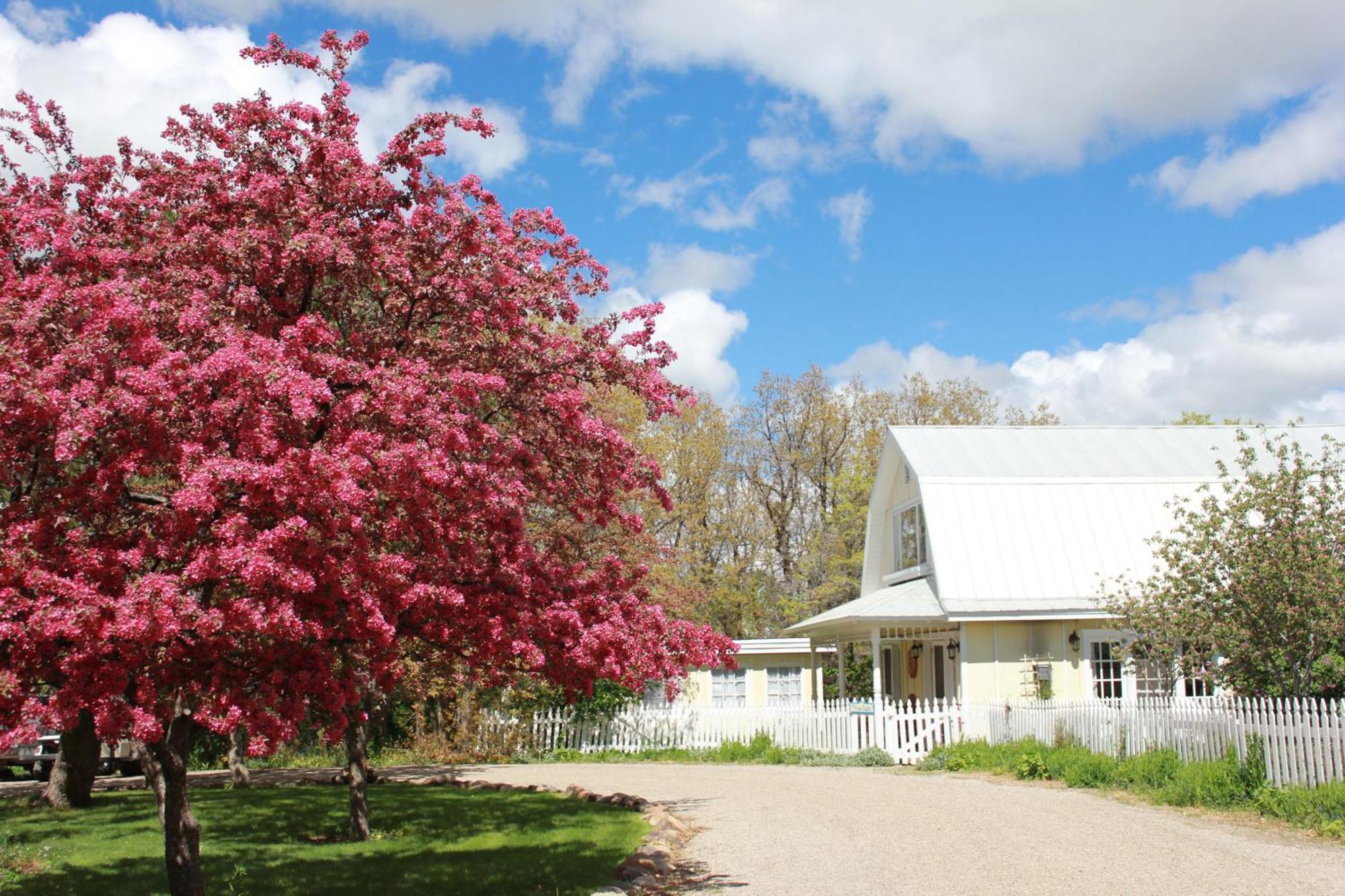 Blue Lake Ranch Hesperus Экстерьер фото