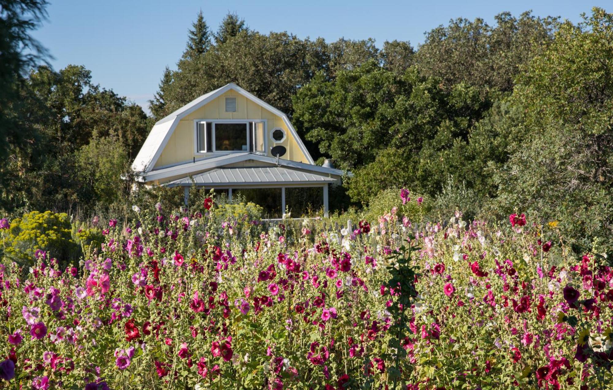 Blue Lake Ranch Hesperus Экстерьер фото